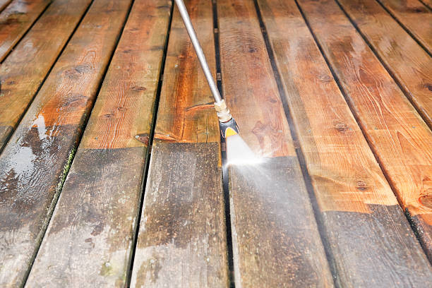 Best Residential Pressure Washing Services  in Colon, MI