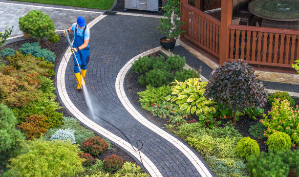 Best Roof Power Washing Services  in Colon, MI