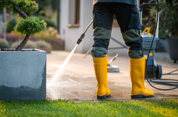 Best Roof Pressure Washing  in Colon, MI